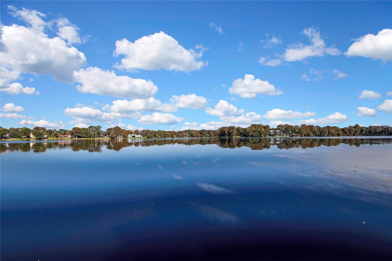 KEATINGS DEVIL NECK 04 - Residential