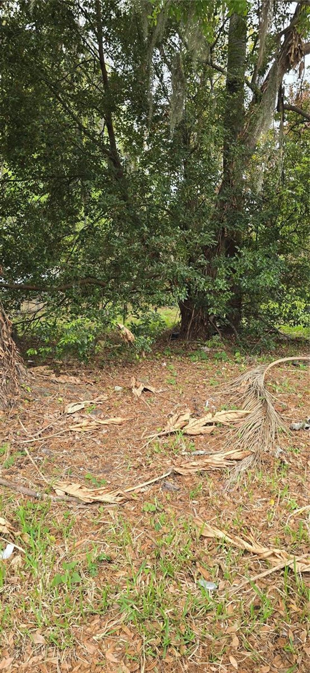 Photo of 810 W 14th Street, Lakeland, FL 33805 (MLS # R4910882)