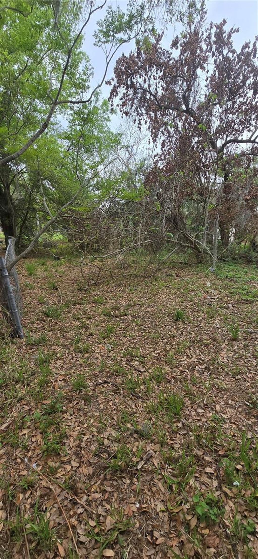 Photo of 810 W 14th Street, Lakeland, FL 33805 (MLS # R4910882)