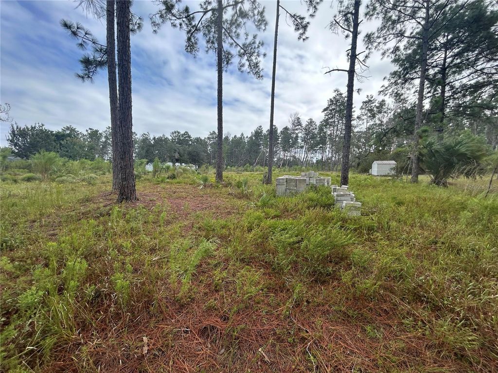 Photo of Tulip Avenue, Eustis, FL 32736 (MLS # G5103000)