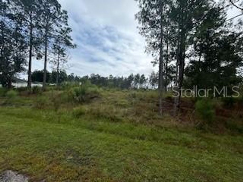 Photo of Tulip Avenue, Eustis, FL 32736 (MLS # G5103000)