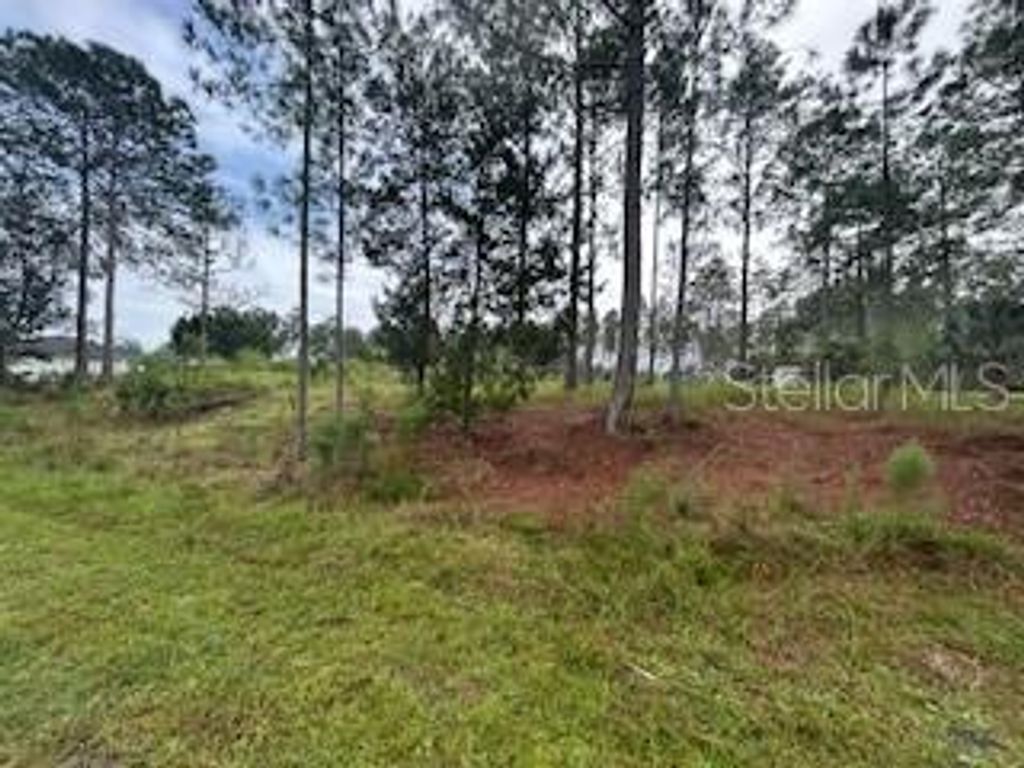 Photo of Tulip Avenue, Eustis, FL 32736 (MLS # G5103000)
