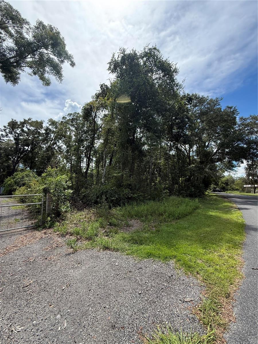 LAKE AVENUE