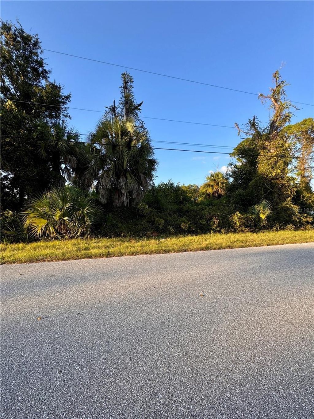 34288 - North Port community | Sarasota Real Estate 8 Photo of Japan Street, North Port, FL 34288 (MLS # C7516583)