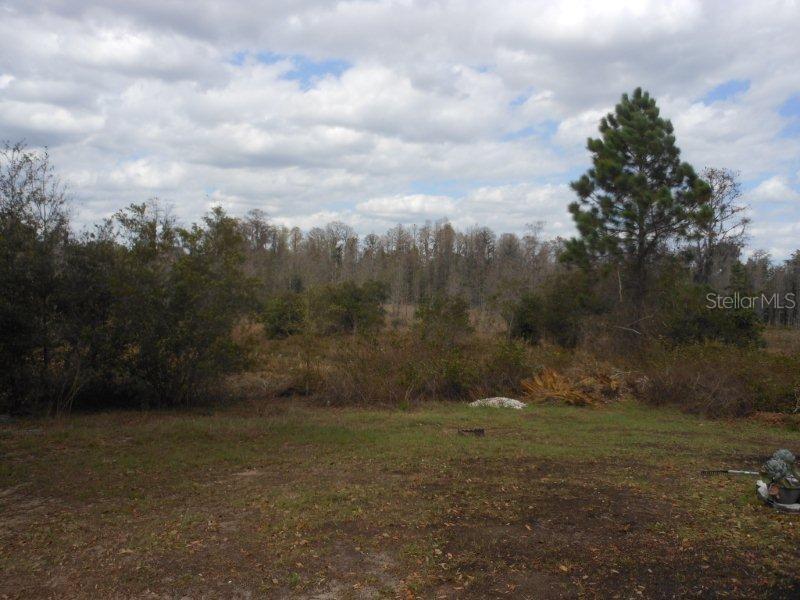 LINDFIELDS UNIT 01 - Residential Lease