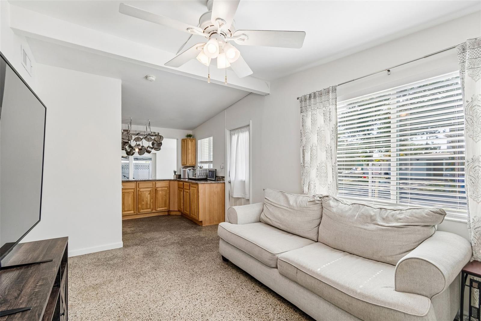 ORANGE LAKE VILLAGE - Residential