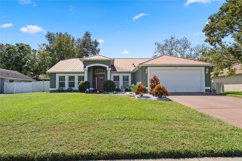 A home in DELTONA