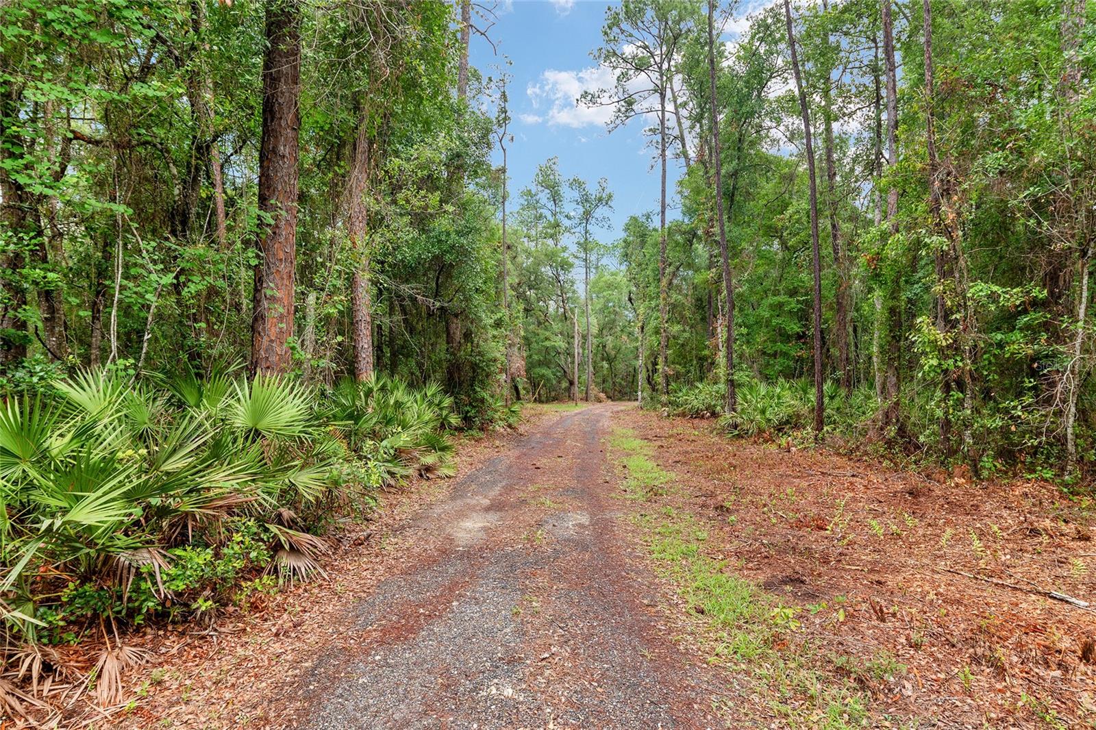 7622 SE COUNTY ROAD 234