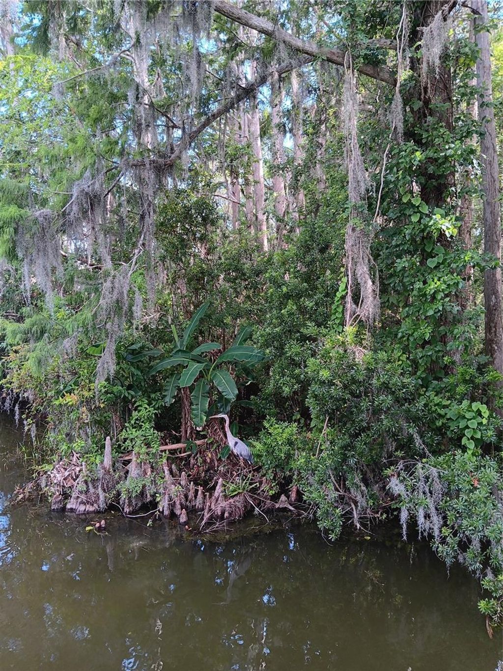 Photo of 9117 E Royal Palm Drive, Inverness, FL 34450 (MLS # O6325287)