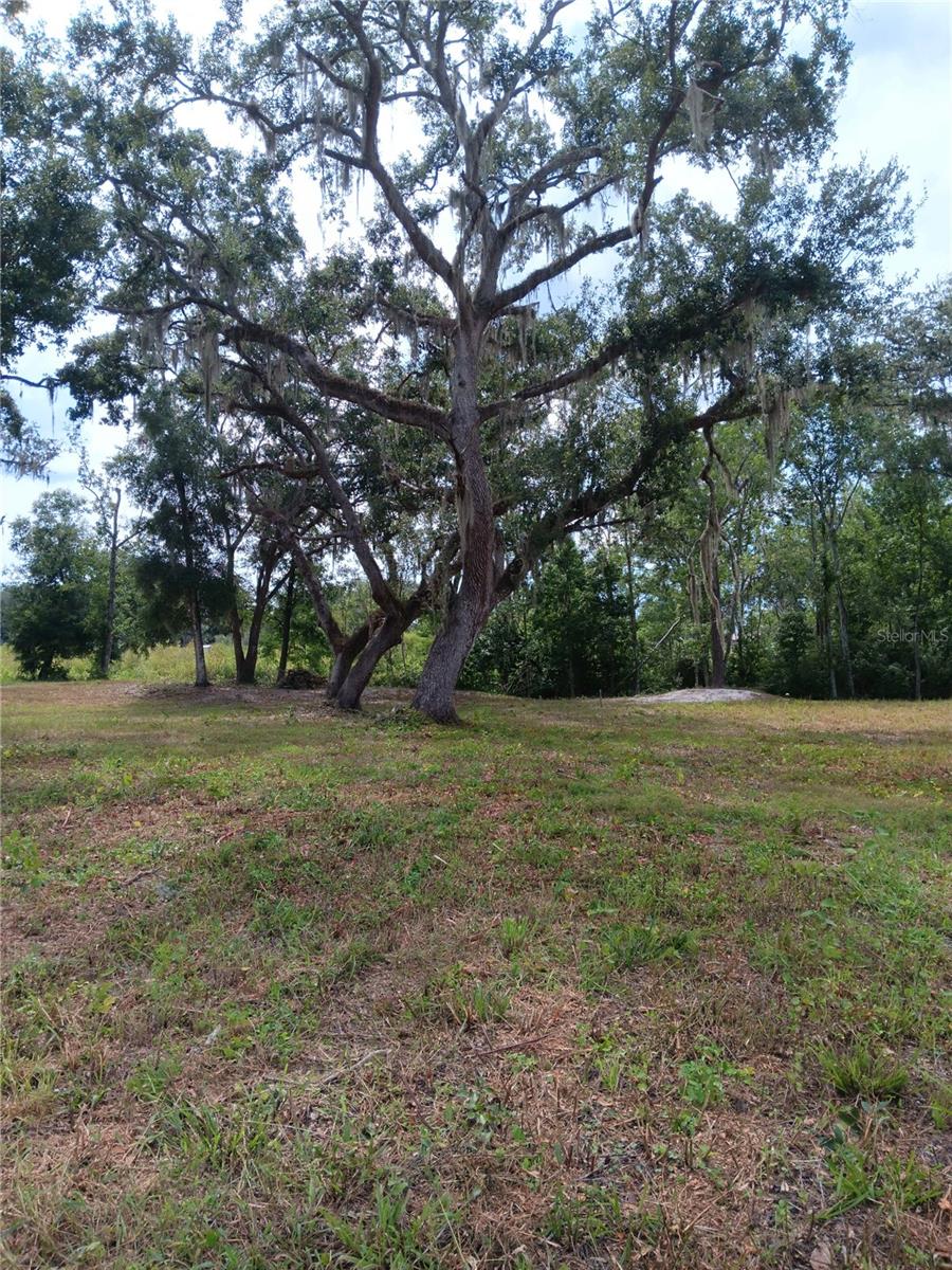 9117 E ROYAL PALM DRIVE
