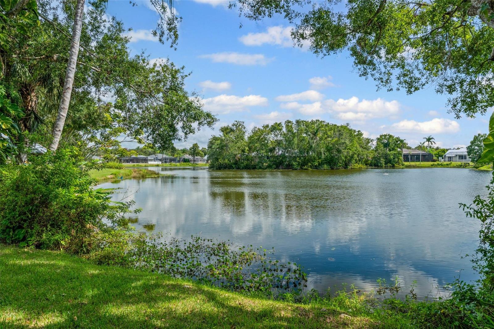 PADDOCKS I - Residential