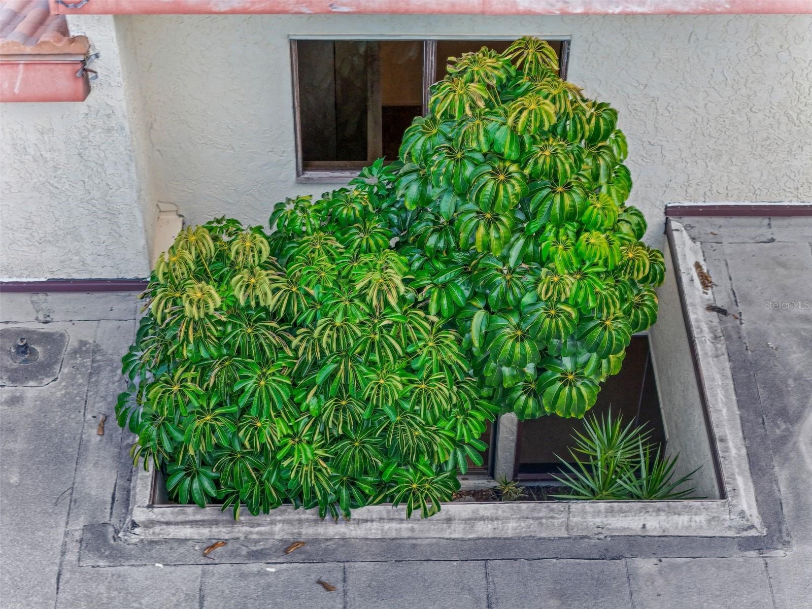 PADDOCKS I - Residential