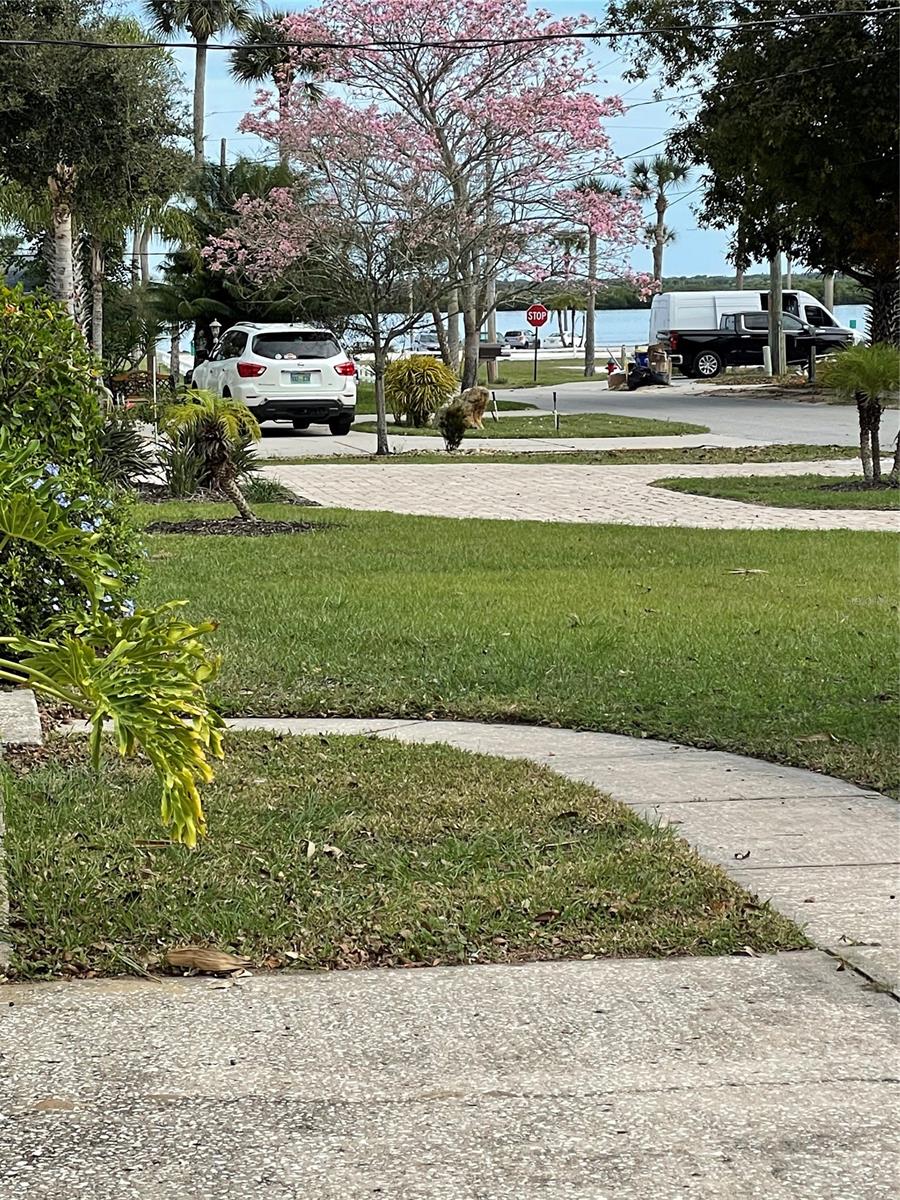 Hawks Park - Residential