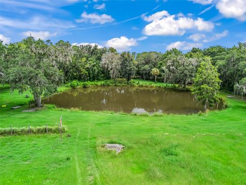 Tiny photo for 12651 W Highway 318, Williston, FL 32696 (MLS # OM705773)