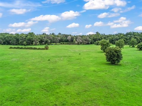 Tiny photo for 12651 W Highway 318, Williston, FL 32696 (MLS # OM705773)