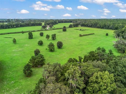 Tiny photo for 12651 W Highway 318, Williston, FL 32696 (MLS # OM705773)