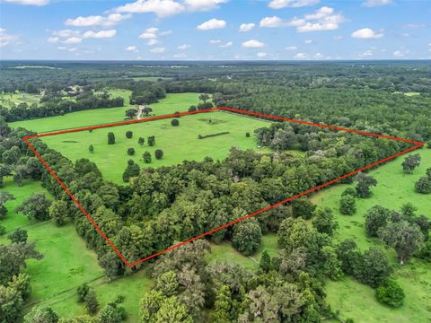 Tiny photo for 12651 W Highway 318, Williston, FL 32696 (MLS # OM705773)