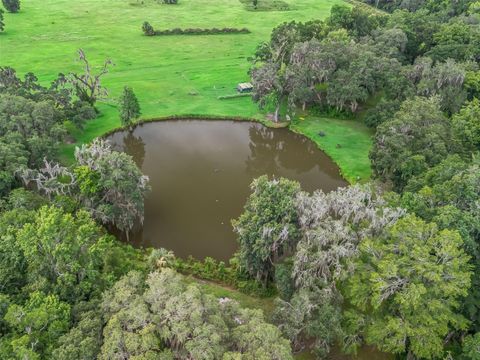 Tiny photo for 12651 W Highway 318, Williston, FL 32696 (MLS # OM705773)