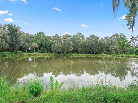 Tiny photo for 12651 W Highway 318, Williston, FL 32696 (MLS # OM705773)
