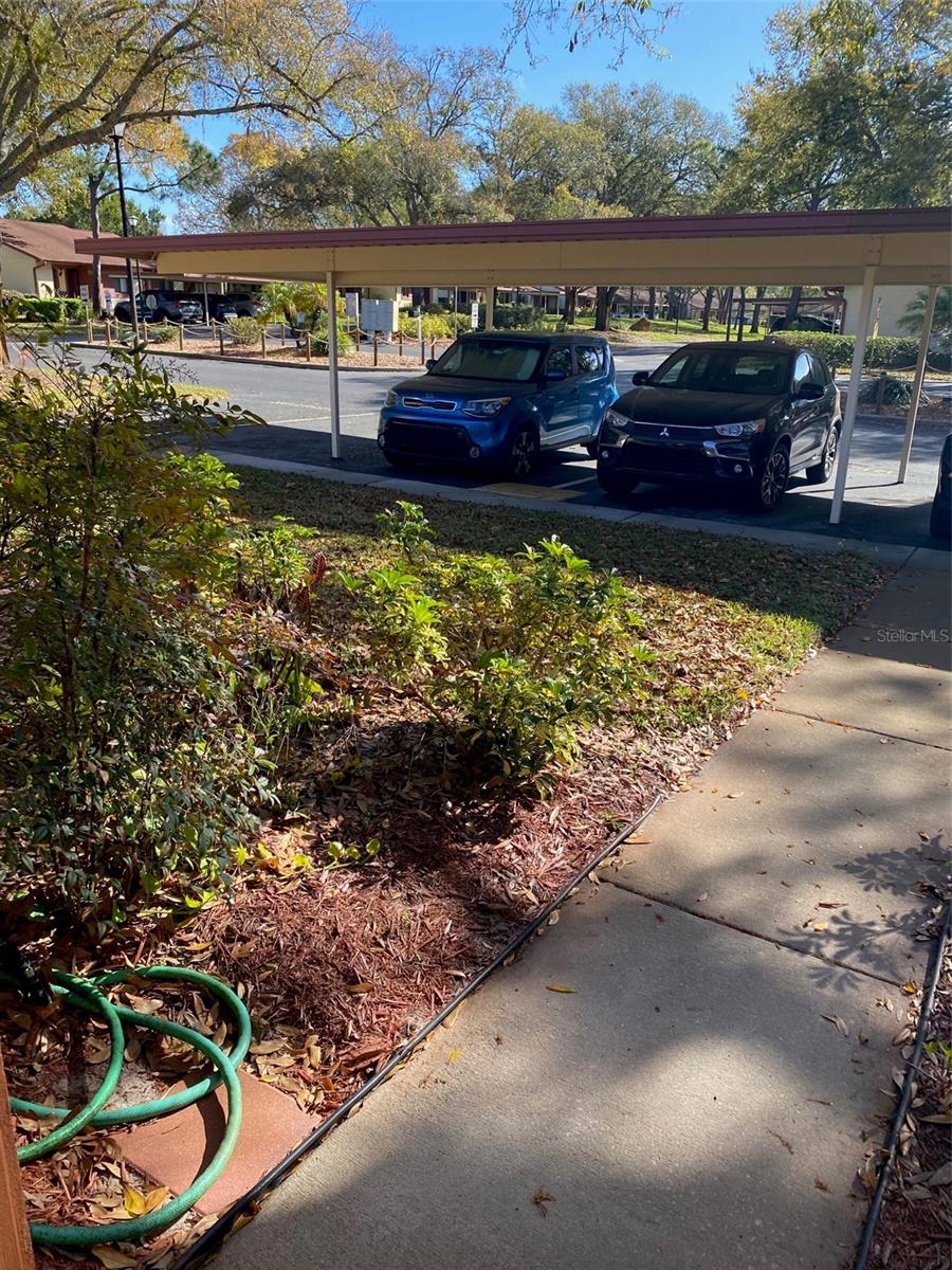 12539 GREYLOCK LANE 12539