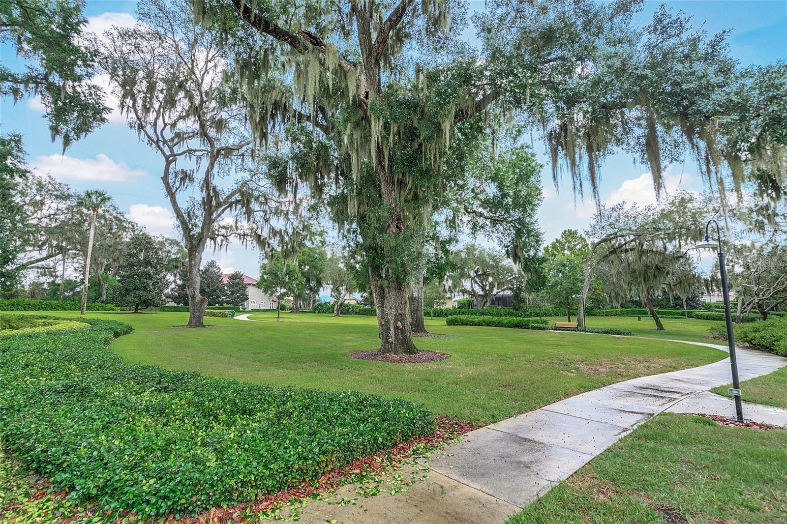 STEEPLE CHASE - Residential