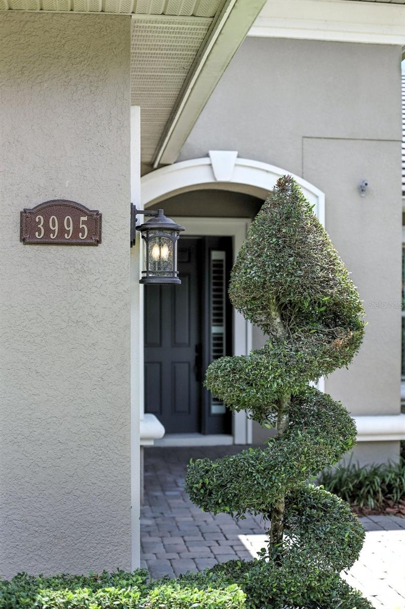 STEEPLE CHASE - Residential