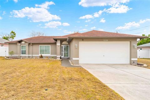 Photo of 11244 Redgate Street, Spring Hill, FL 34609 (MLS # W7883128)