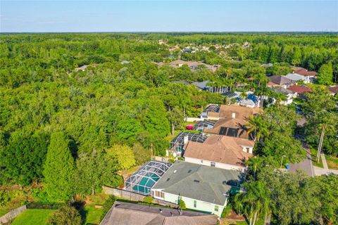 A home in TAMPA