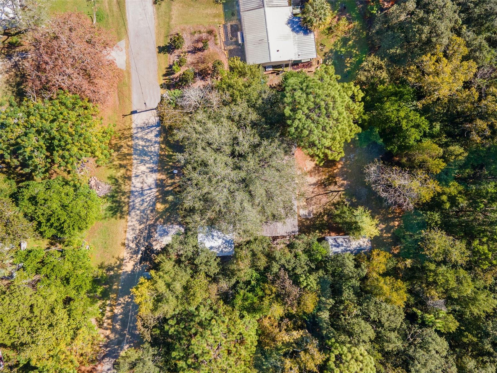 HOMOSASSA UNIT 10 - Residential