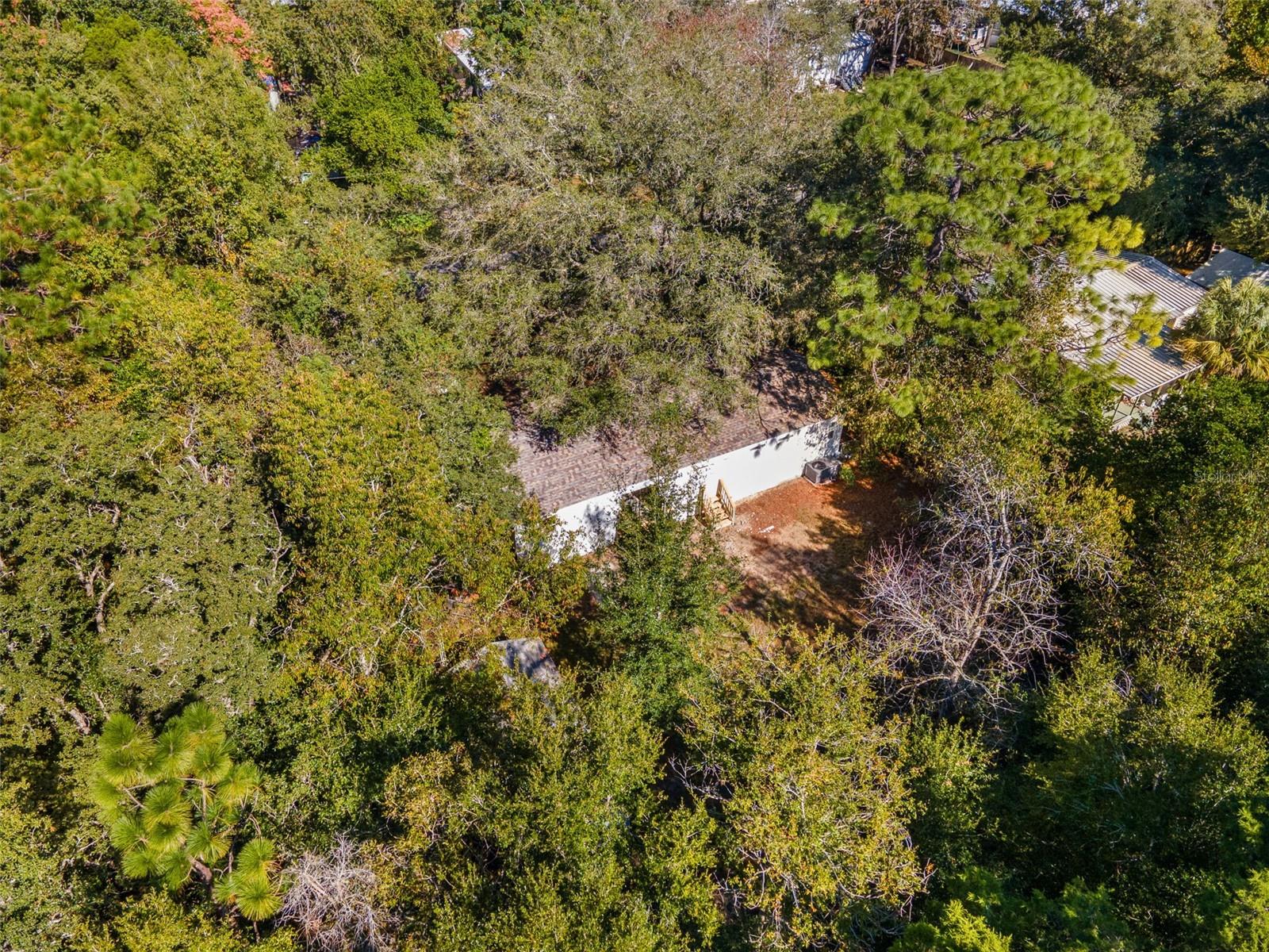 HOMOSASSA UNIT 10 - Residential