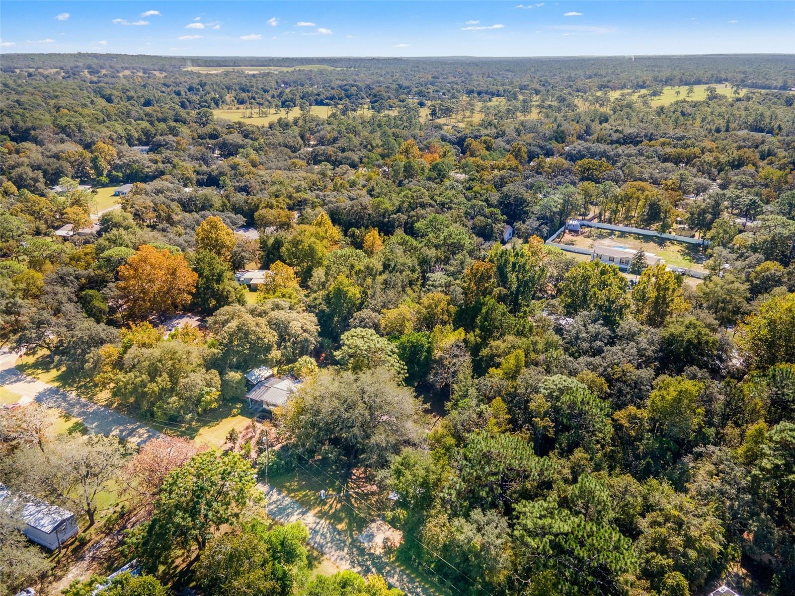 HOMOSASSA UNIT 10 - Residential