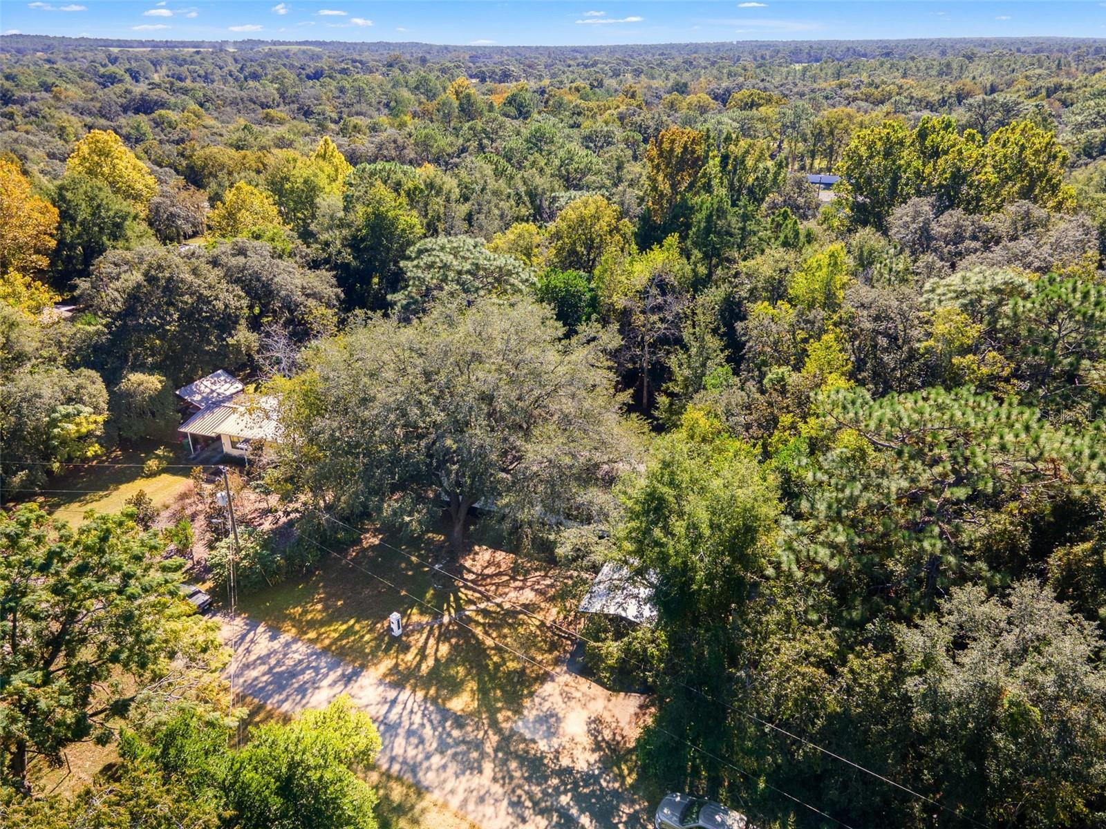 HOMOSASSA UNIT 10 - Residential