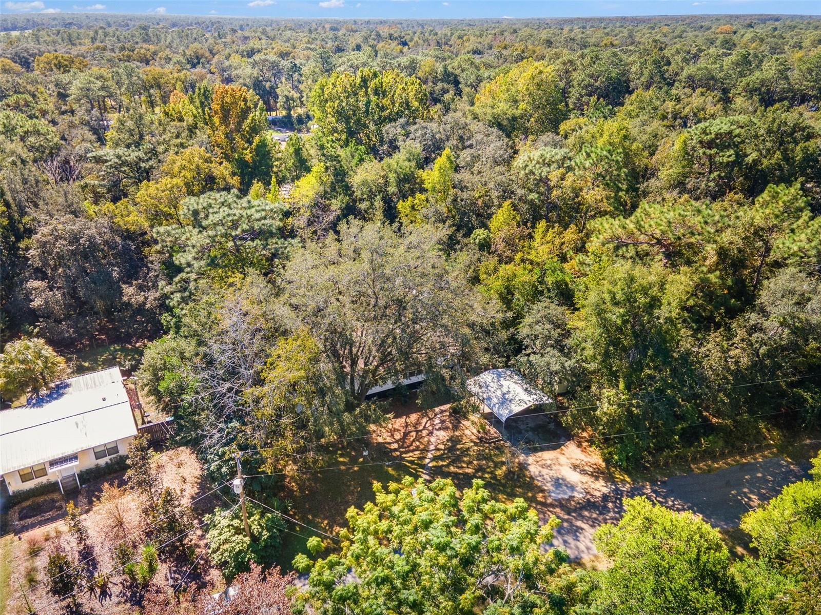 HOMOSASSA UNIT 10 - Residential