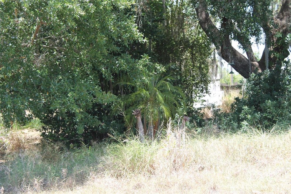 Photo of 0 Sunset Trail, Babson Park, FL 33827 (MLS # P4930492)