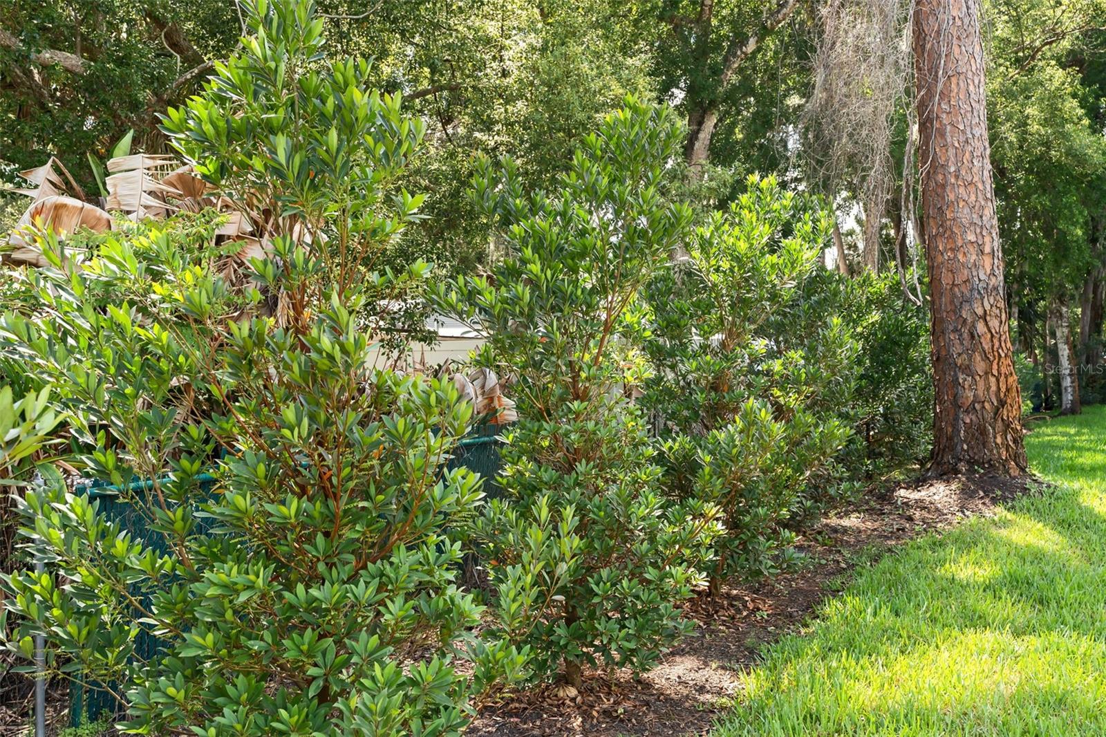 PLANTATION ESTATES UNIT 05 - Residential