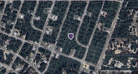 Tiny photo for Tbd Fisher Way Track, Ocklawaha, FL 32179 (MLS # OM715857)