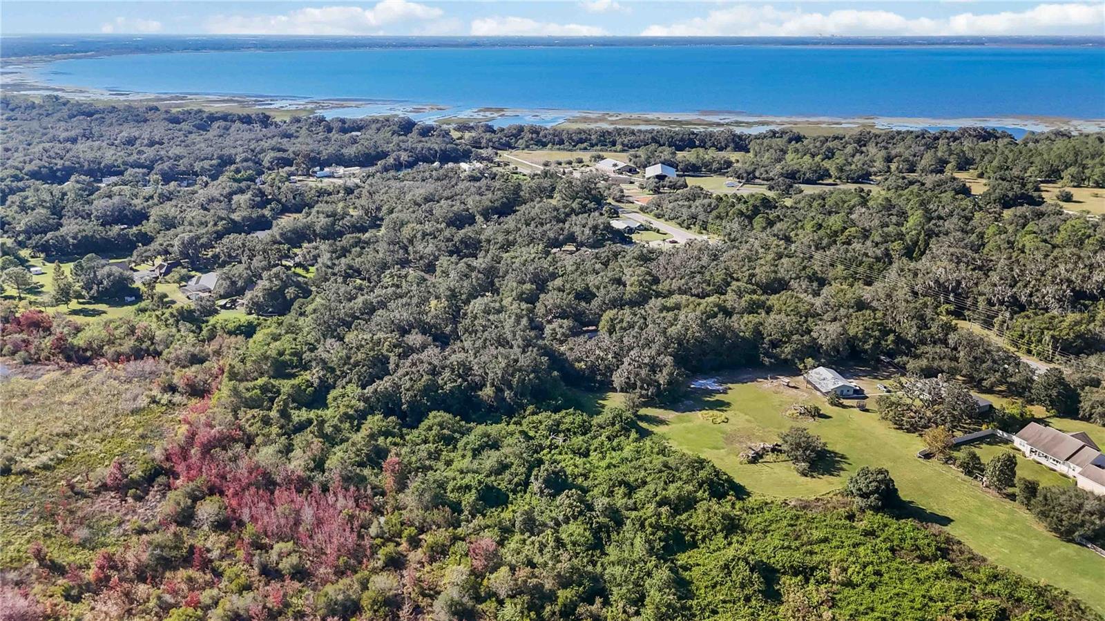 RUNNYMEDE - Residential