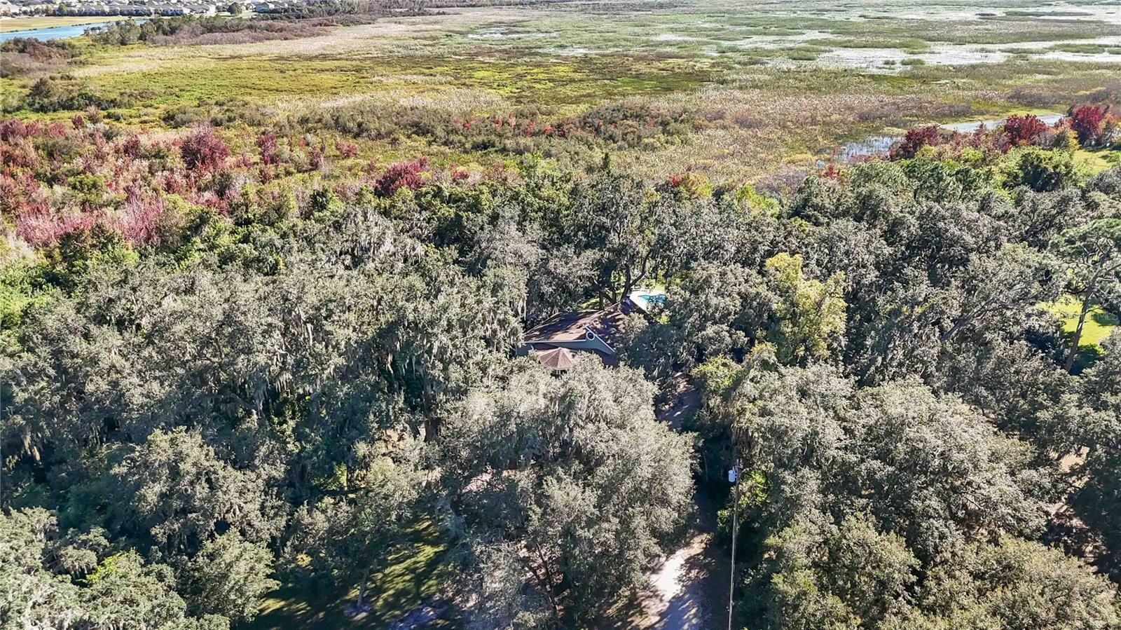 RUNNYMEDE - Residential