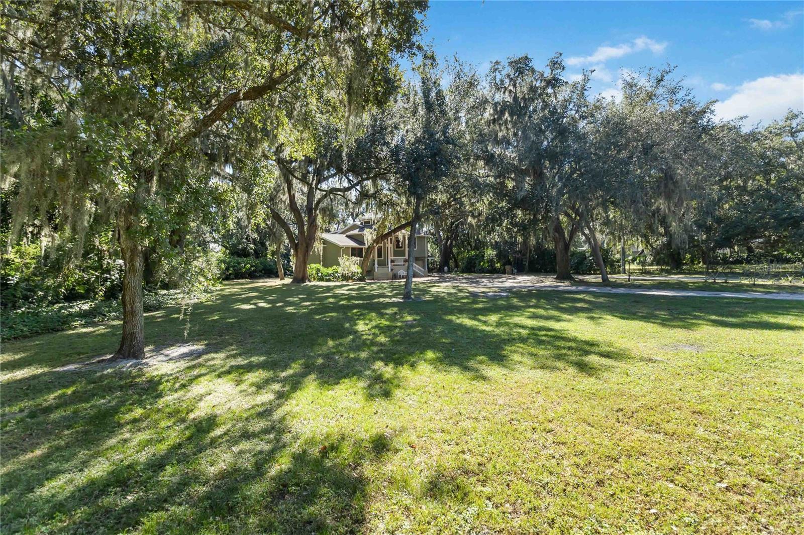 RUNNYMEDE - Residential