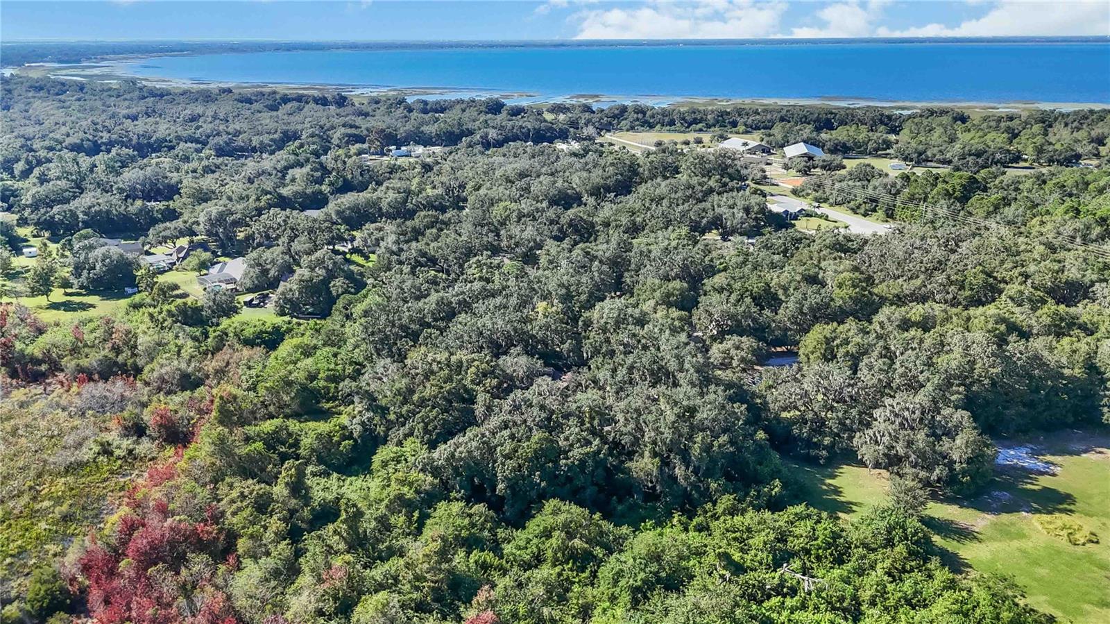 RUNNYMEDE - Residential