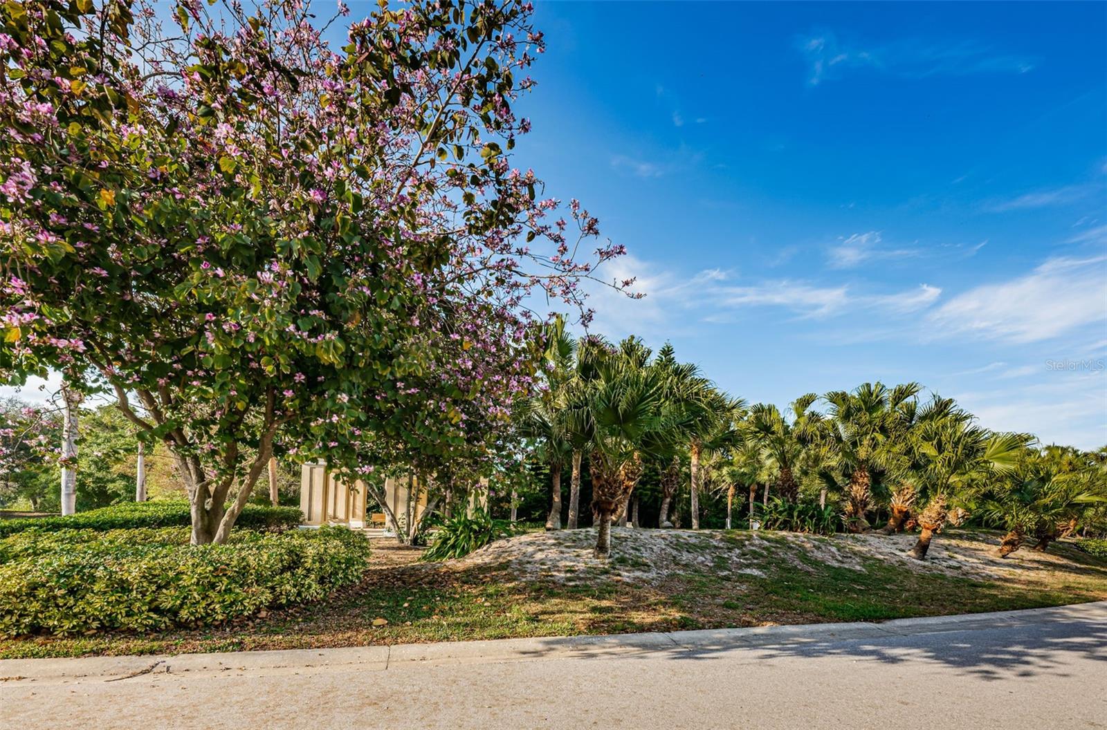 ON TOP OF THE WORLD - Residential