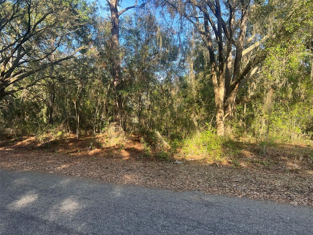 Photo of Guava Terrace, Ocklawaha, FL 32179 (MLS # OM693956)