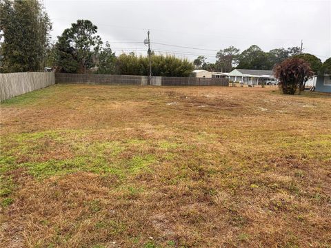 Photo of 1020 Ruth Drive, Edgewater, FL 32132 (MLS # O6381319)