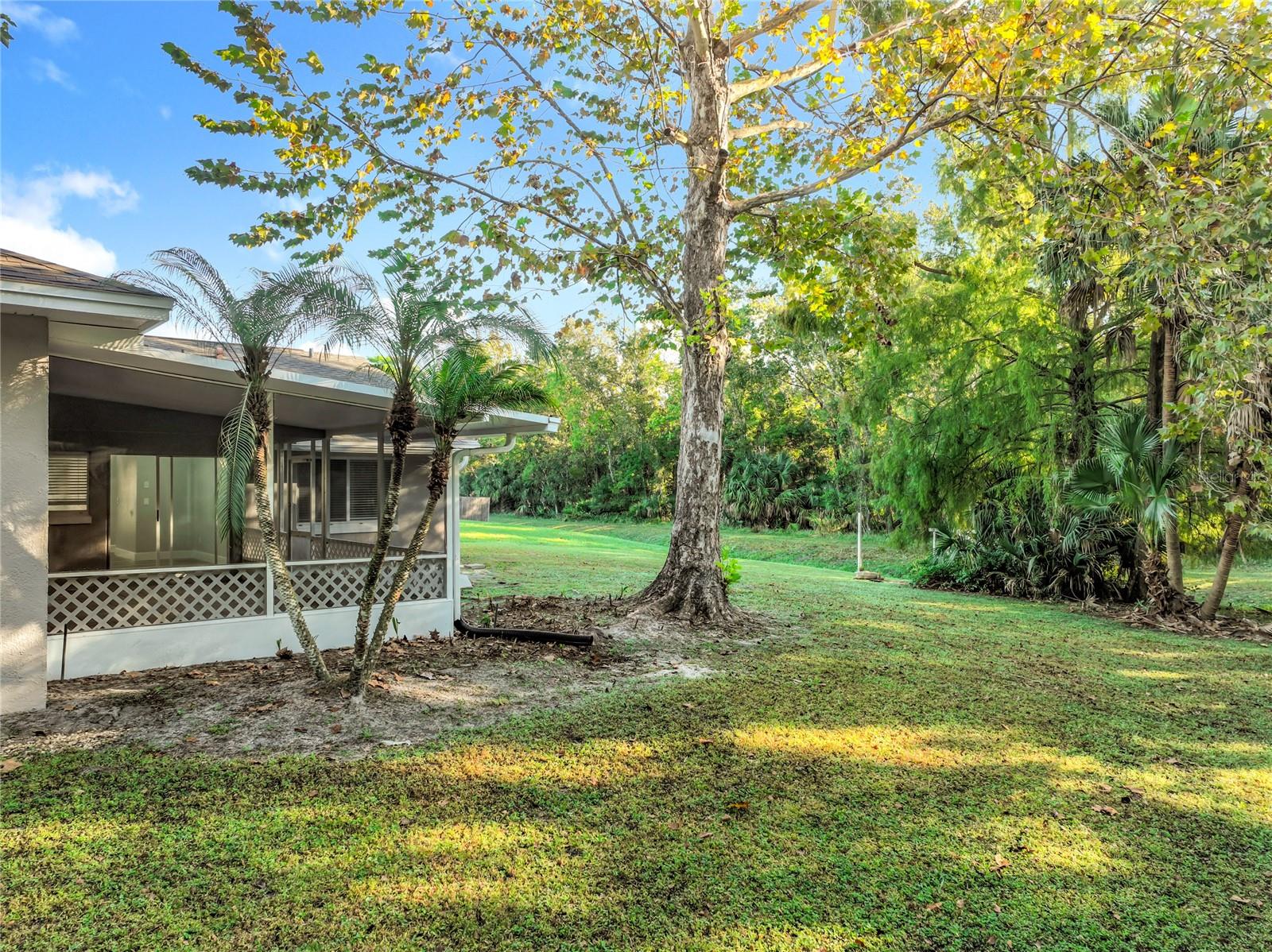 ALAFAYA WOODS PH 10 - Residential