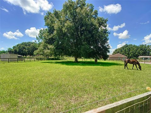 A home in OCALA