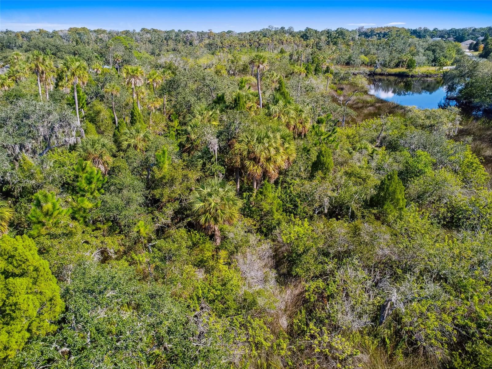 TAMPA TARPON SPGS LAND CO - Land