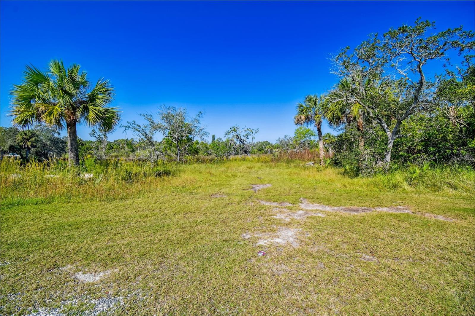 TAMPA TARPON SPGS LAND CO - Land