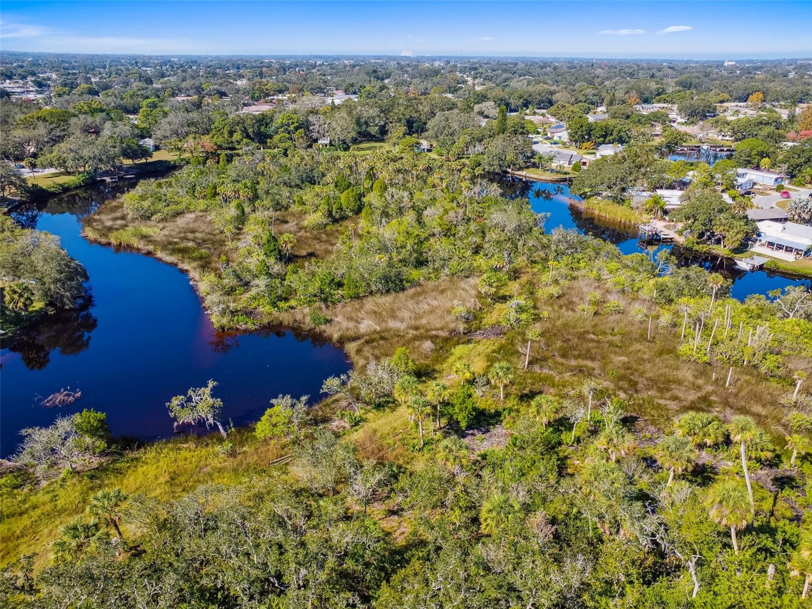 TAMPA TARPON SPGS LAND CO - Land