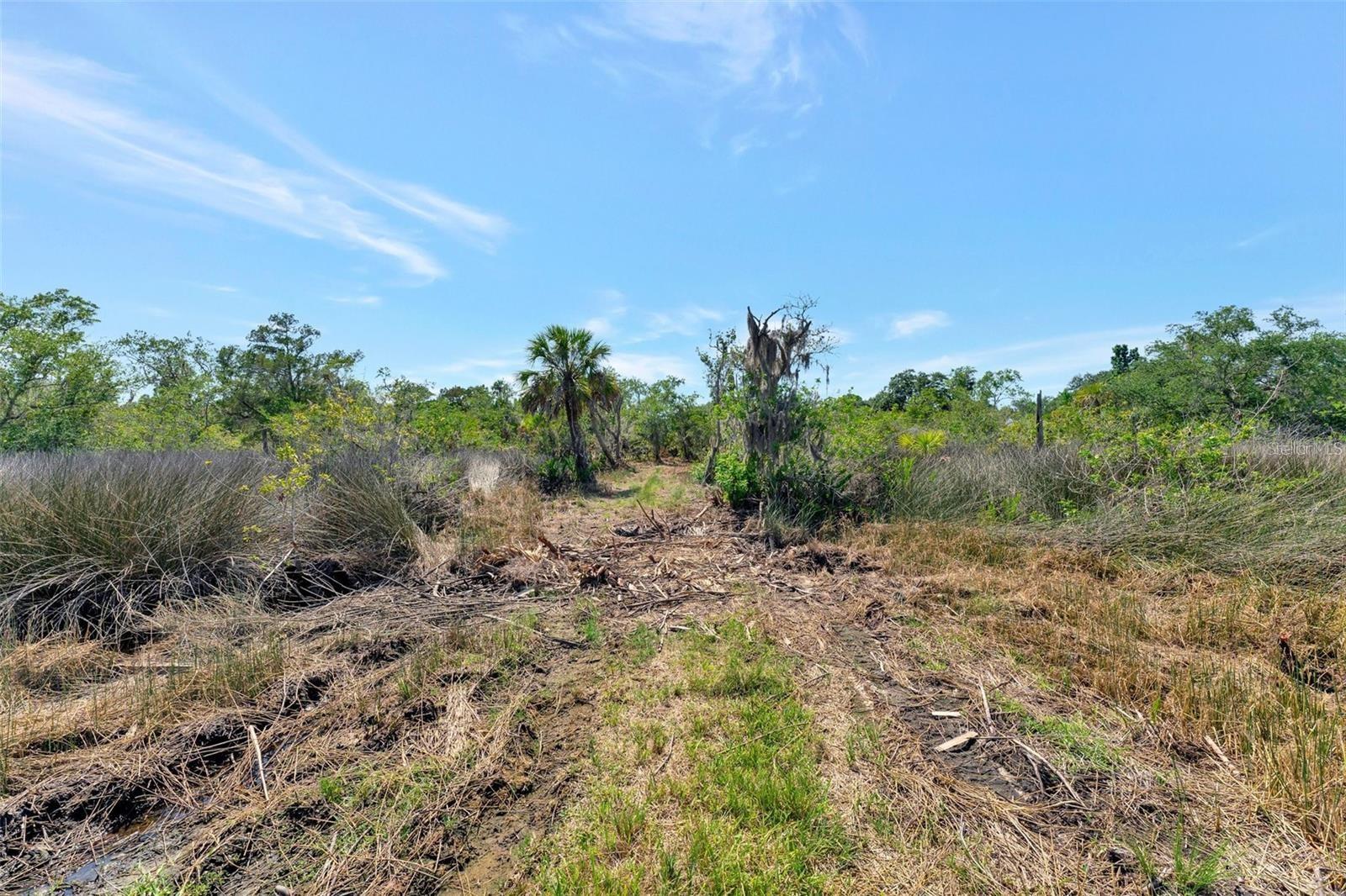 TAMPA TARPON SPGS LAND CO - Land