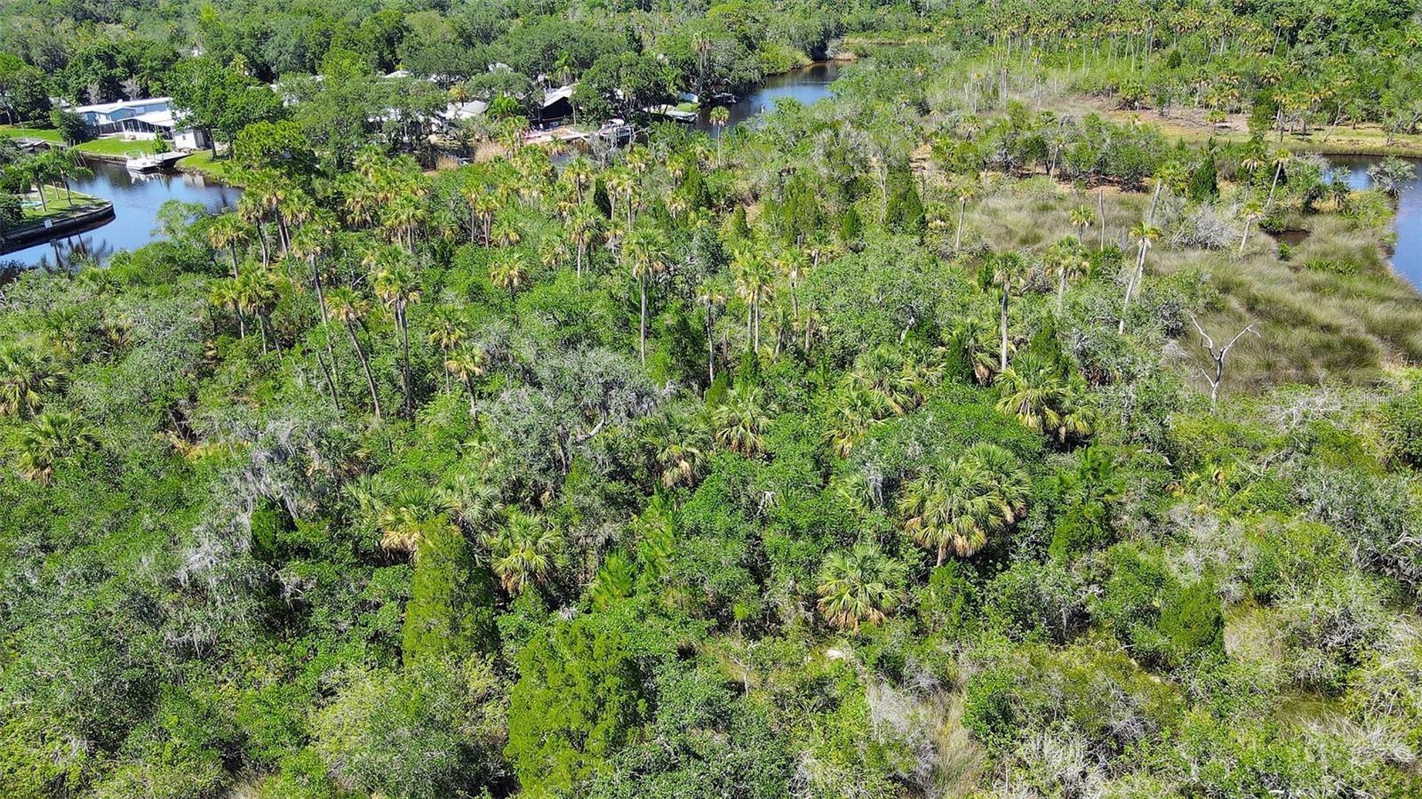 TAMPA TARPON SPGS LAND CO - Land